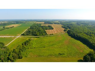 TRACT 15 - ILLINOIS LAND AUCTION - 4,810+/- ACRES OFFERED IN 85 TRACTS IN FRANKLIN, WILLIAMSON, HAMILTON & SALINE COUNTIES, ILLINOIS